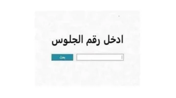 رابط مباشر.. كيفية الاستعلام عن نتيجة الشهادة الإعدادية عبر موقع وزارة التربية والتعليم